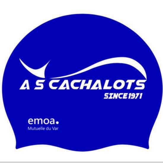 Logo SWIM-FOURS SWIM CUP 2025